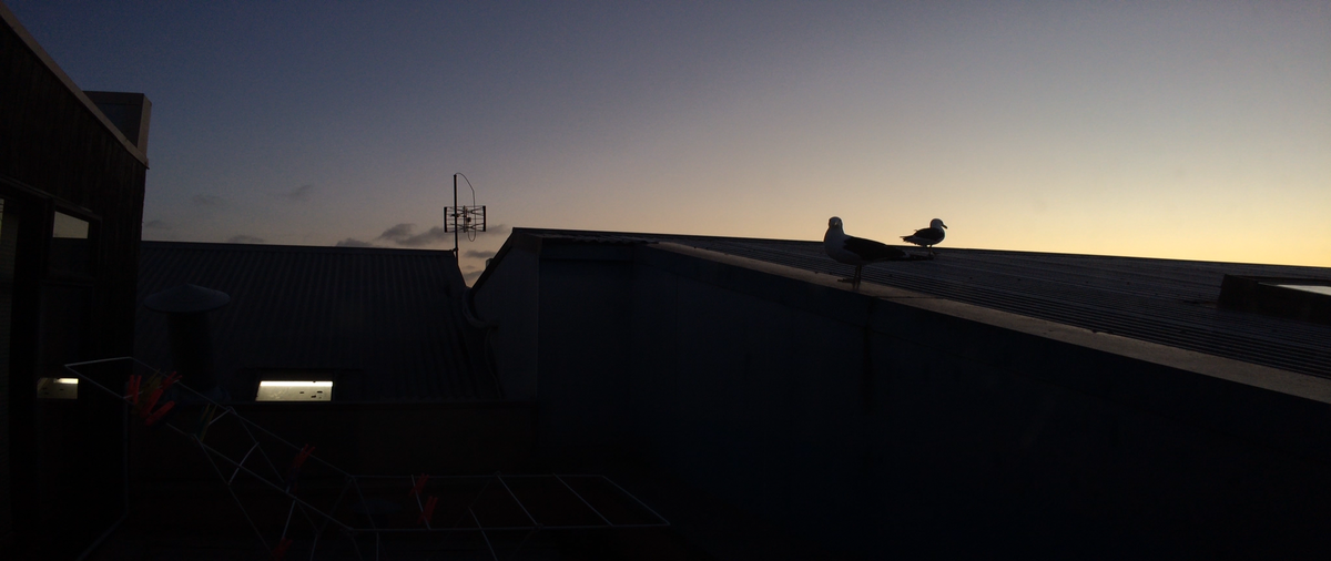WilliamsLiam's tweet photo. Shot with iPhone5s using @MoondogLabs Animorphic lens and @FiLMiCPro at 2K,50mbs Graded in @AdobeAE http://t.co/SlqYqlgVBC