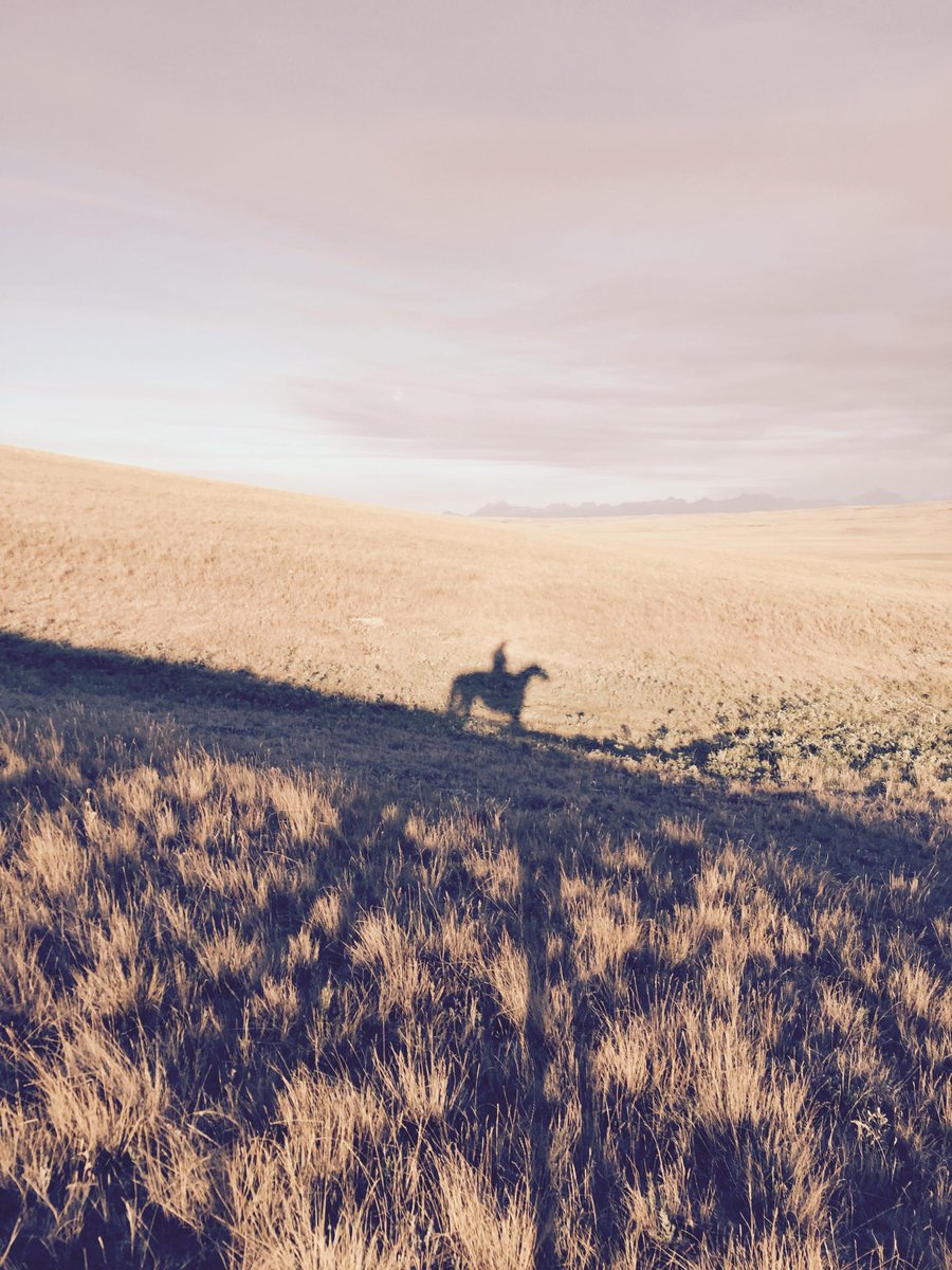 yourfirsthorse's tweet image. RT @sidgustafson "Equine Behaviour Through Time 
Horses and People Magazine

 … http://t.co/R3Jfn5X4Ca" ow.ly/SZi52