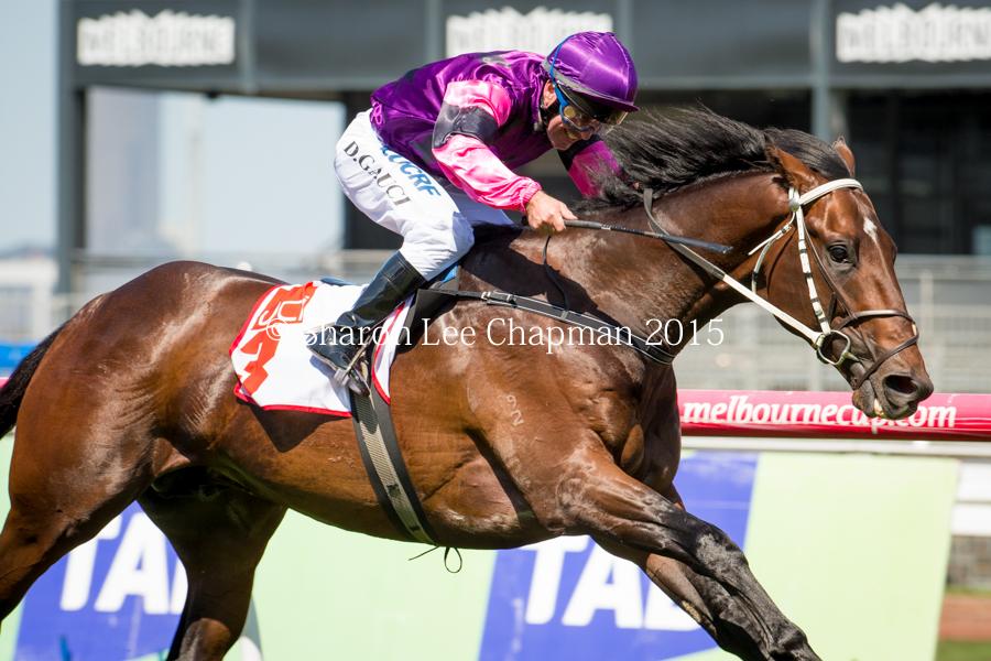 FastTrackPhotog's tweet photo. Ayers Rock and Darren Gauci combine to win the Listed UCI Stakes at Flemington @G1X_RACING http://t.co/oKZRA82ej3