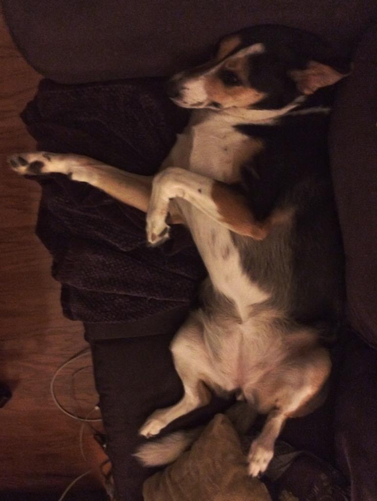 Izzi's tai chi classes are really paying for themselves.