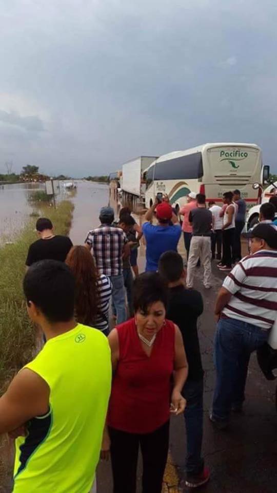 mikeleyva75's tweet photo. @PoliciaFedMx confirma no hay paso en tramo Obregón-Vícam. Hasta mañana se reabrirá la circulación. @Lorenzo_de_Cima http://t.co/oU4WfXa7Gn