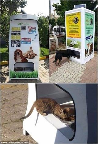 silberit's tweet image. @davemcclure Have you seen this in Istanbul yet? Machine that exchanges recyclables to the food for homeless pets!