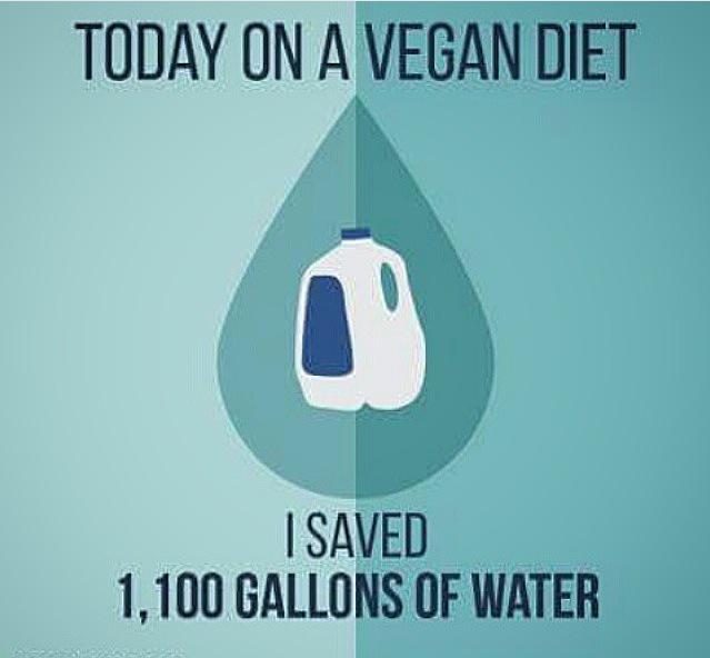 You save lives but you also save incredible amounts of water. Go Vegans 🙊✌️
💧🌎#protectingourplanet #vegan #love