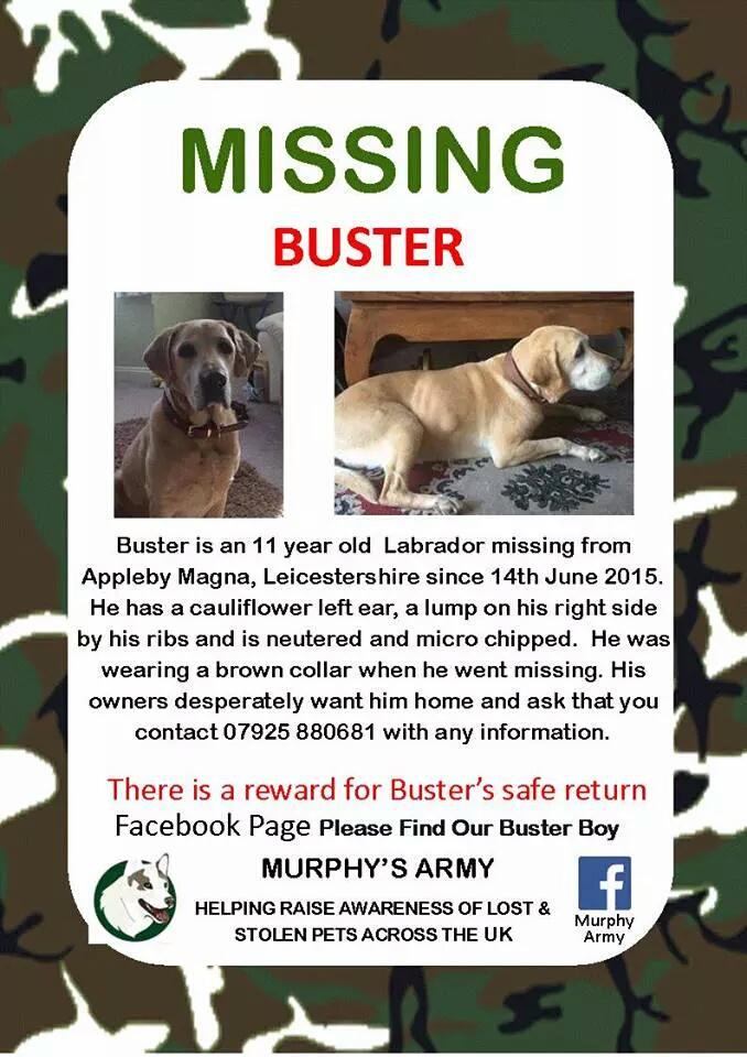 Help Find Buster tweet media