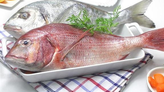 Intolerancia al pescado blanco