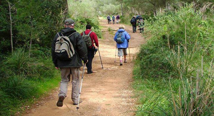 Discover #Mallorca in a unique way through our customized and guided trips. senderosdemallorca.es/en/