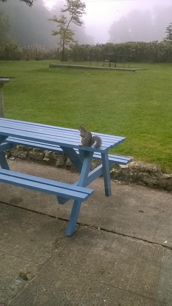 First visitor of the day. <a href="/GirlguidingGlos/">Girlguiding Gloucestershire</a>