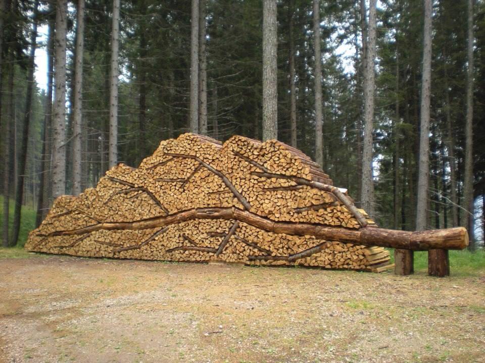 hkorbee's tweet photo. Dat is nou bosbouw ! (even uitvergroten) http://t.co/8GqU3yDED5