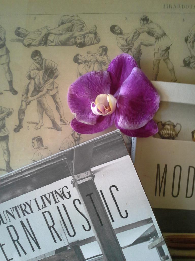 I enjoyed your story <a href="/UrbanJungleBlog/">UrbanJungle Bloggers</a> If you have more time in NL, take a small trip to #Haarlem #Vijfhoek ^_^