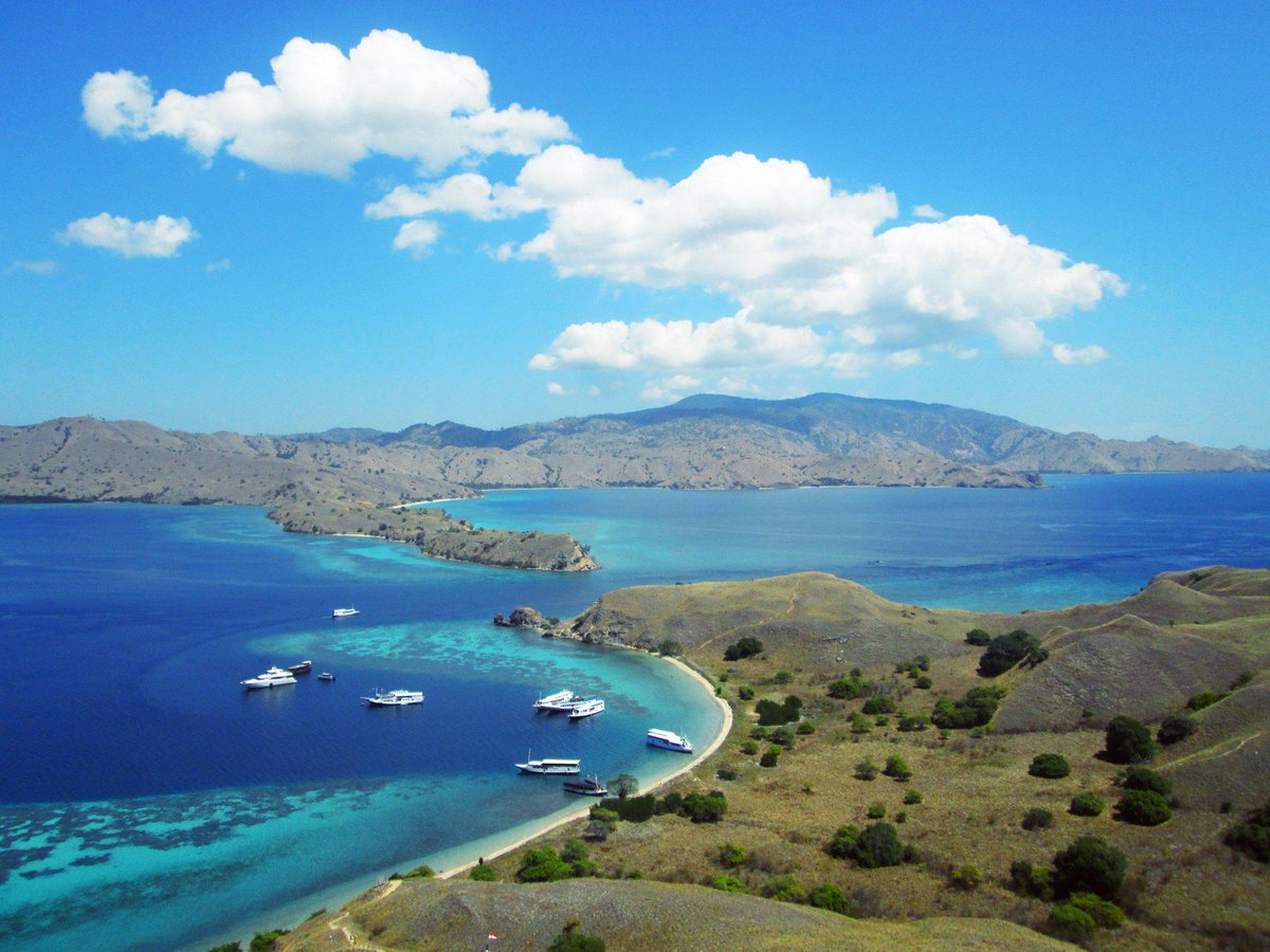 JournalisticArtWeek tweet media