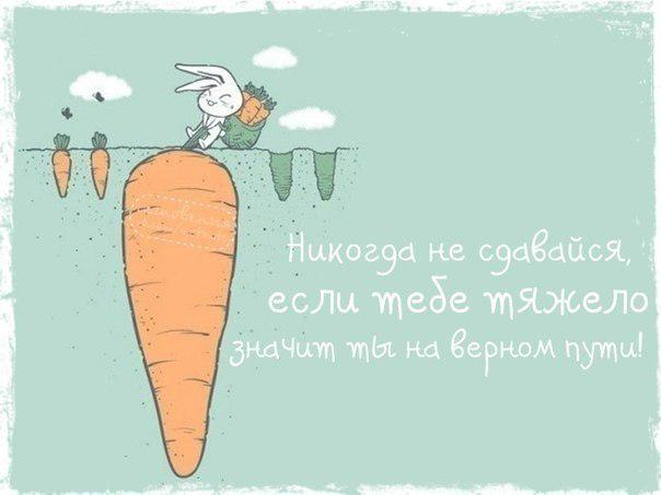 Promediawebru's tweet image. 