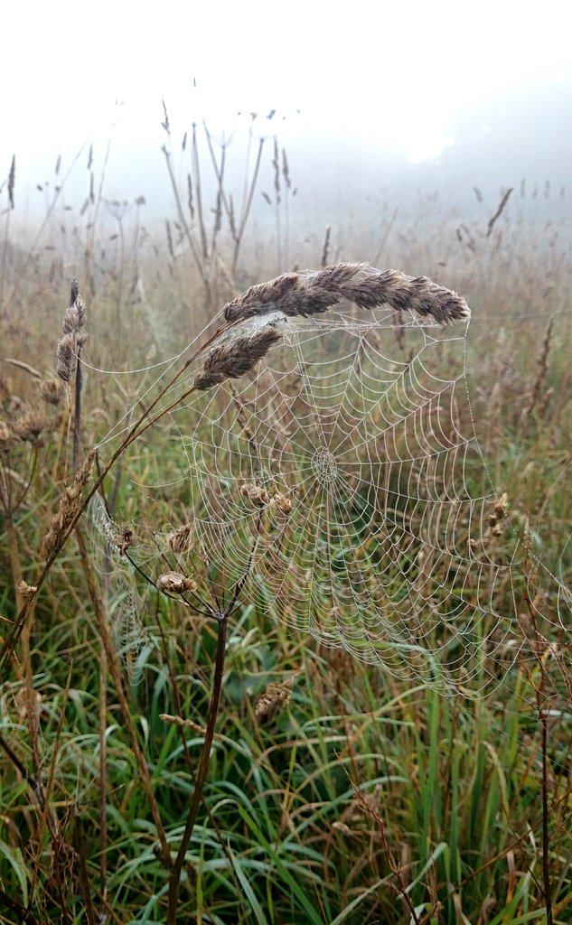 Foggy start this morning.