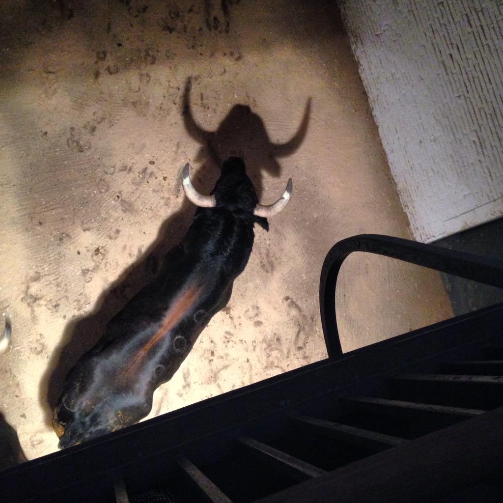 Ayer nos fuimos al apartado en #lasventas para ver a los del #vellosino. #toreo #feriadeotoño #toros #CulturaTaurina