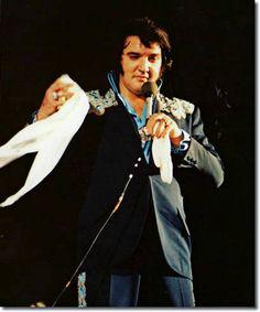 Daily Elvis tweet media