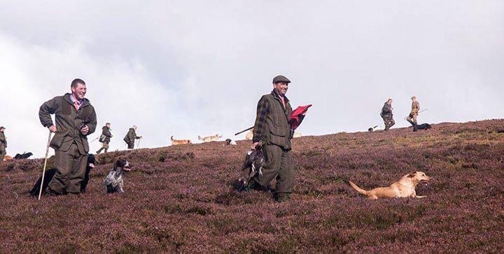 AGMG_UK's tweet photo. #headkeeper Jason Clamp #shootday #millden #beating #flanking #pickingup #workingdogs #tweeds #grouse #shootday #agmg http://t.co/LibZYCyJNl