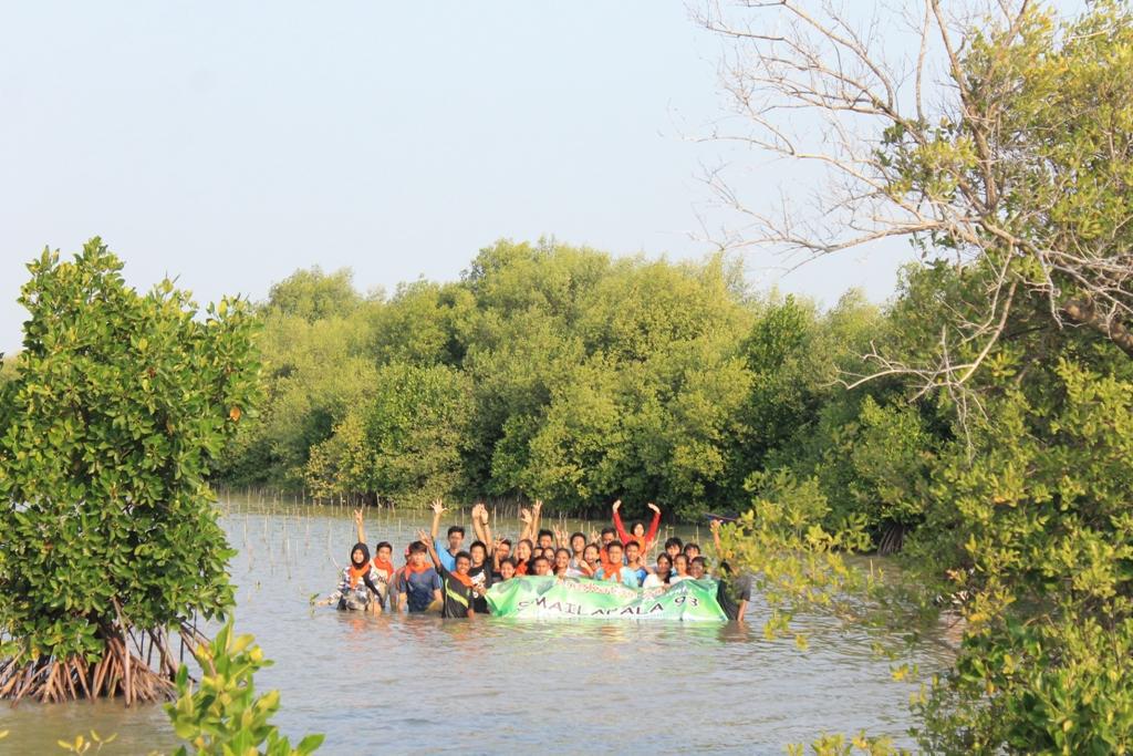dillamwt's tweet photo. Liat @urbancikarang jadi throwback pas lagi Penanaman Mangrove Hut Smailapala 12/09/15. #savemugo #MuaraGembong http://t.co/Nvp3jOUavH