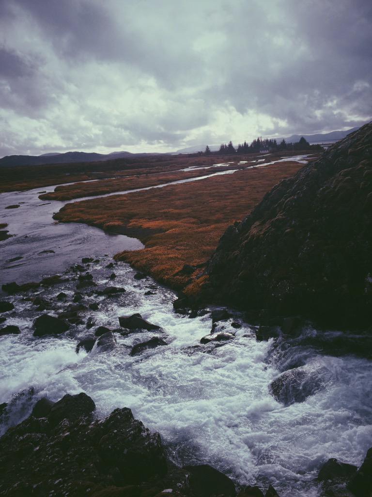 illicithowell's tweet image. 