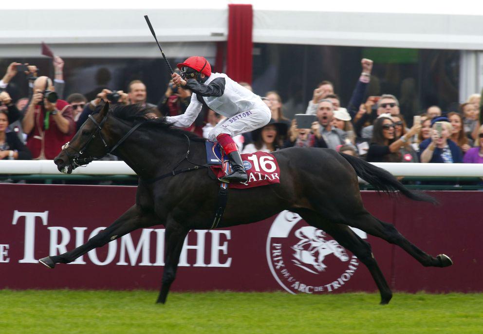 njboiler's tweet image. Golden Horn wins #ArcDeTriomphe (2400m G1) for @DarleyStallion's Cape Cross (4yo 1609m G1w). Next #BCTurf. #QPAT