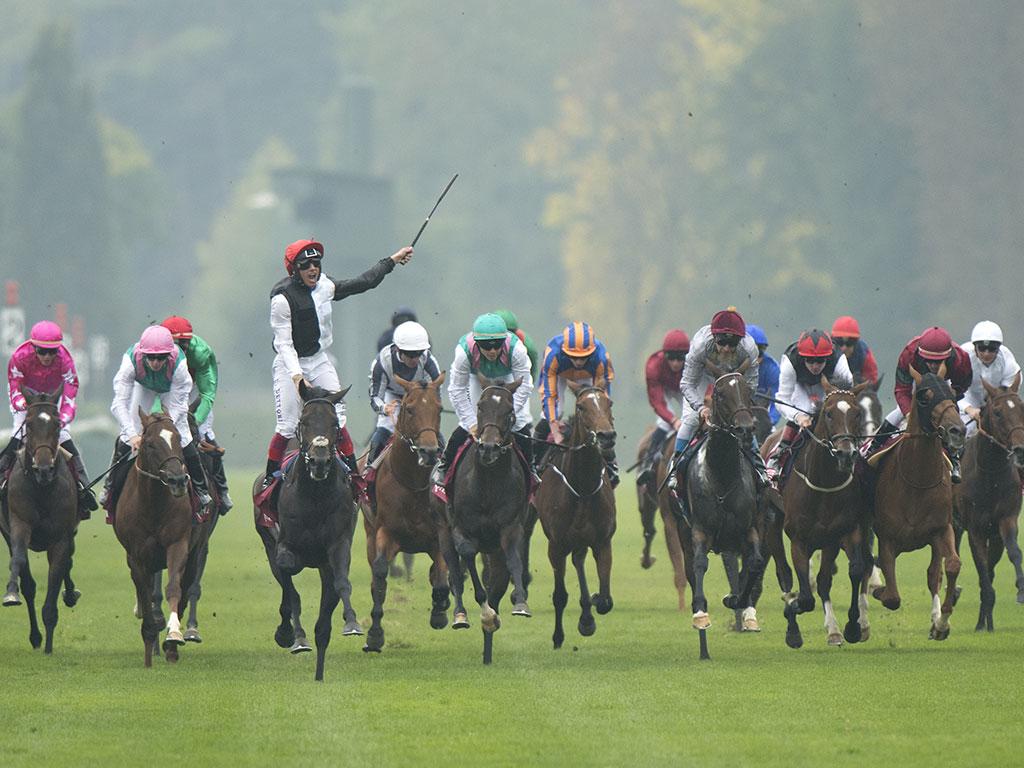 Golden Horn – Prix de l’Arc de Triomphe 2015