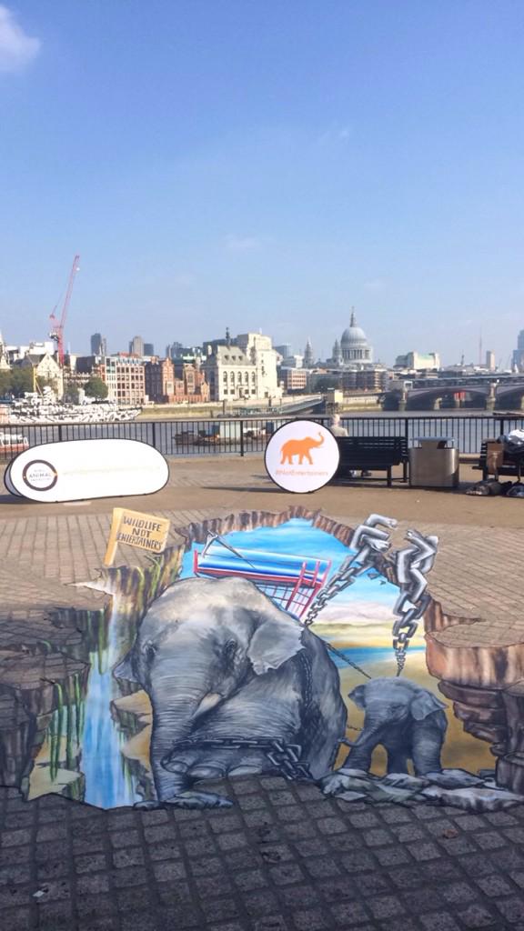 BethDoolette's tweet photo. #NotEntertainers support the elephants who are conditioned by Thomas Cook to be used as tourist attractions. http://t.co/Vx7CVjRrAP