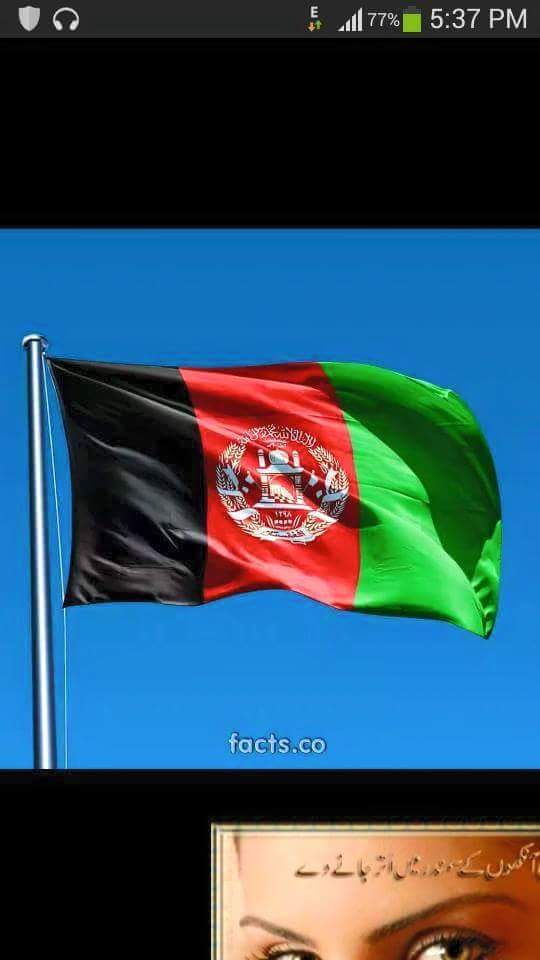 IKh684's tweet photo. My hard in my flag. http://t.co/DgA0fqS2J4