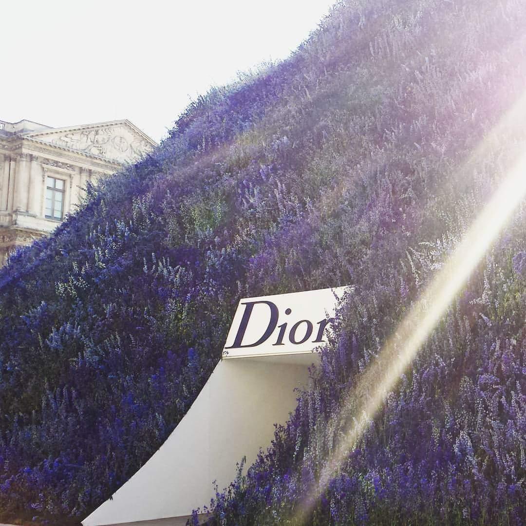 TiiaKares's tweet photo. #courcarree #diorss16 #delphiniums #parisfashionweek 🌸 http://t.co/cxvM48J7co