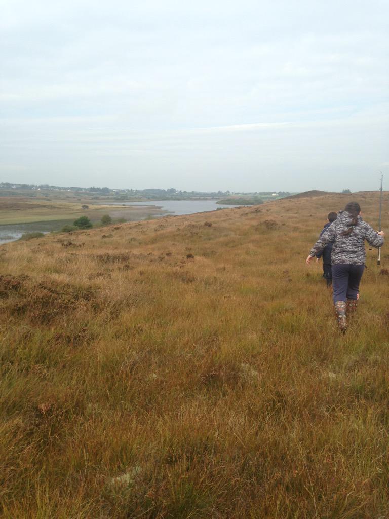 Jason O Brien, tweet media