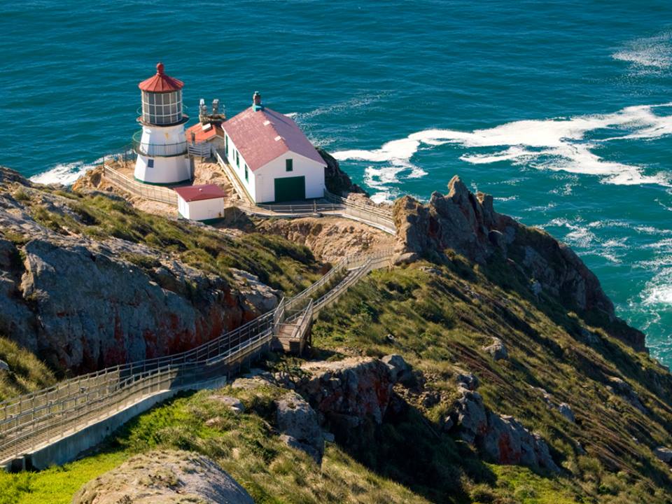 destinosin tweet picture