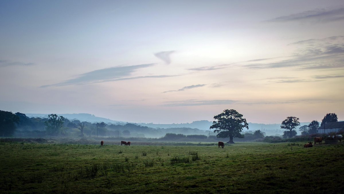 julianf1972's tweet photo. 03/31 #octoberchallange #PhotoADayForAMonth #Fujifilm #X100S #dimpsy #rural #dusk @DevonLife @Fujifilm_UK http://t.co/nXqZkSlSgm