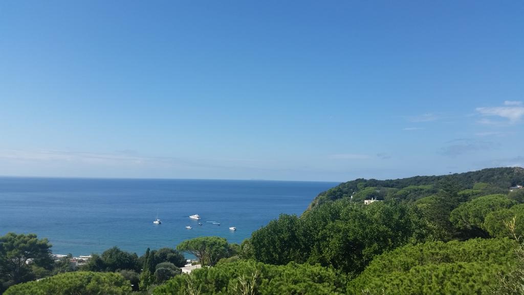 lolarobador's tweet photo. il colore é la bellezza della natura. Giardini La Mortella. 20° Incontro Ischitano di Architettura Mediterranea. http://t.co/xeyezRydjZ