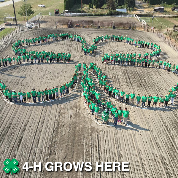 4H's tweet image. Happy National 4-H Week! Show your 4-H pride all week and tell the world #4HGROWSHERE! Photo: Skagit County, WA 4-H
