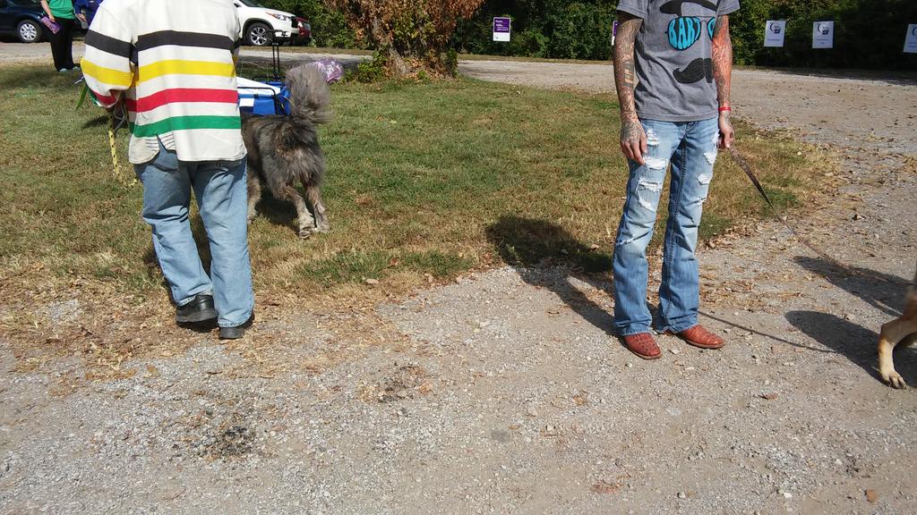 RelayLV's tweet photo. Wanted to thank from bottom of our hearts @BonnerRescue @knockerballkc1 @Evoke_Photos @AdventureZipKC @CauseRock http://t.co/00asMm83jT