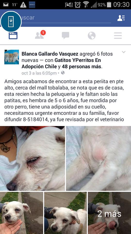 Mariale_VZLA's tweet photo. Difundir por favor! @AnimalParaiso @carolinapinoc @F_GarrasyPatas @Dra_House @fundacionstuka @ISAPET @FundJulieta http://t.co/NjtnJxJV5B