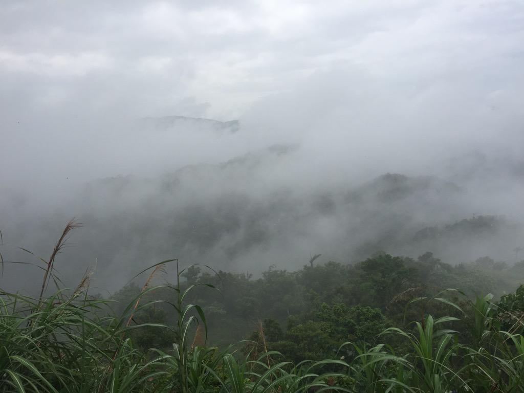 brenpureza's tweet photo. A rainy hike at Mt. Manabu! Just when we thought the fog is all we'd get, God said, "I don't think so." Thank you! 🙏🏻 http://t.co/TQAJOGvGgM