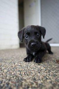 ThEhappY_page's tweet photo. Cutieee http://t.co/IlWcxjSw04