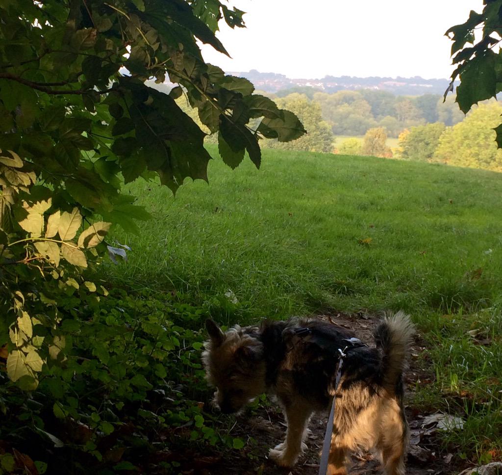 Lovely views on my walkies!