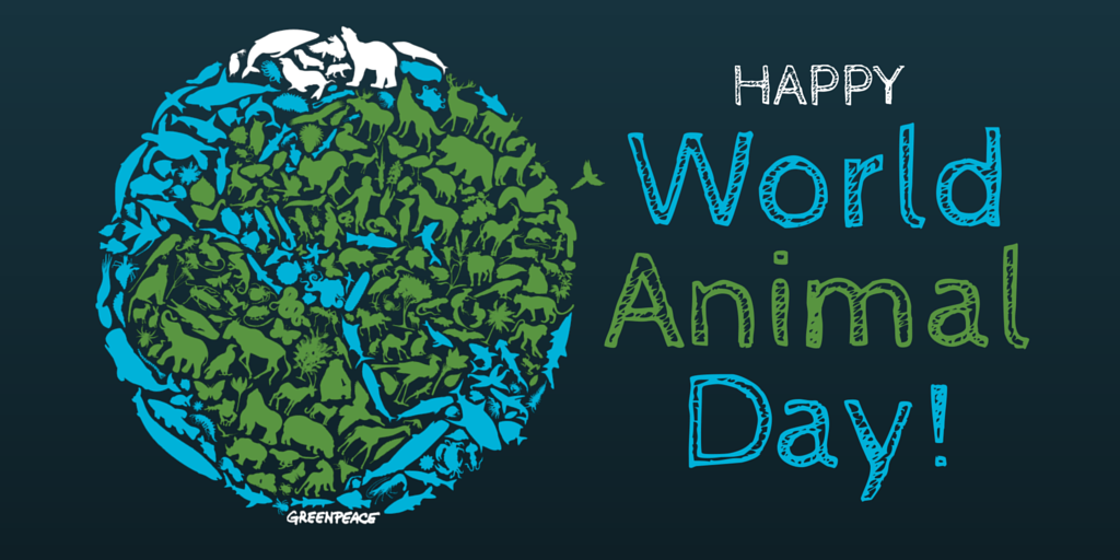 greenpeaceusa's tweet image. Today we're celebrating #WorldAnimalDay — RT if you love animals!