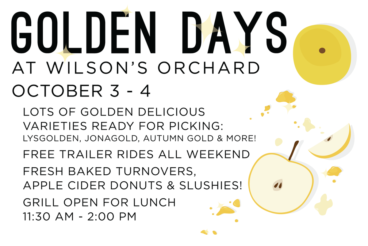 Stop by the orchard this weekend for lots of great apples to pick and pumpkins as well! Open daily from 10 am - 6 pm.