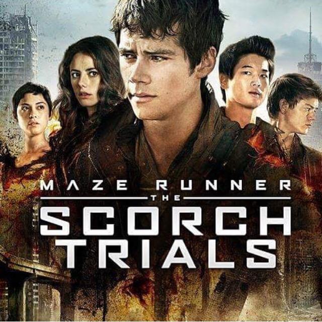 maylis___'s tweet image. 7/10/15 👼🏼