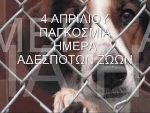 AgelosXxx's tweet photo. να τα προσέχετε τα ζωάκια μόνο αυτά σας αγαπάνε πάντα http://t.co/Jn3p2sUEod