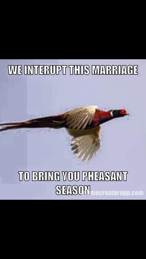 benleeding's tweet image. 