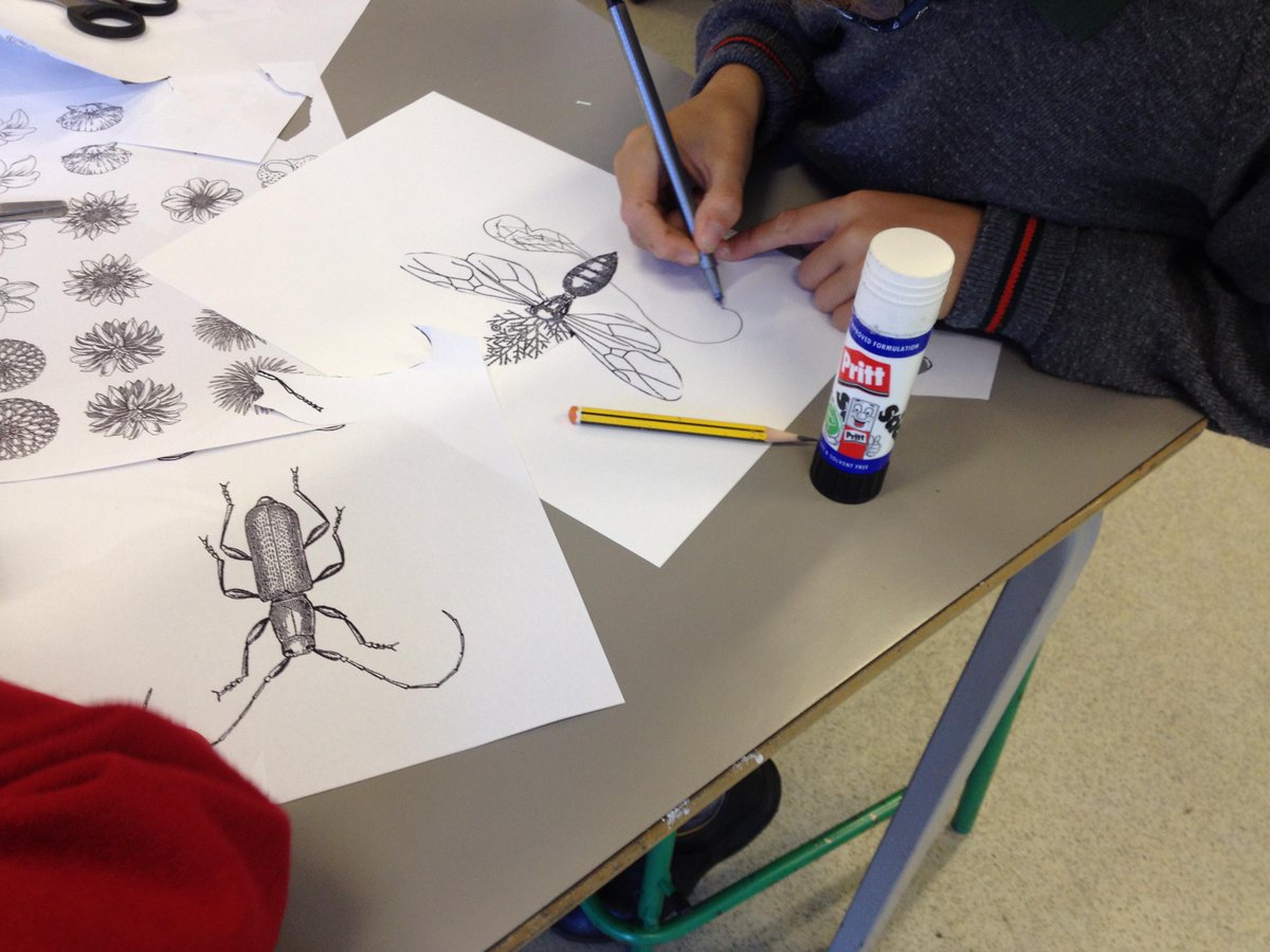 The boys at Arnold House School created some wonderful hybrids this week!...