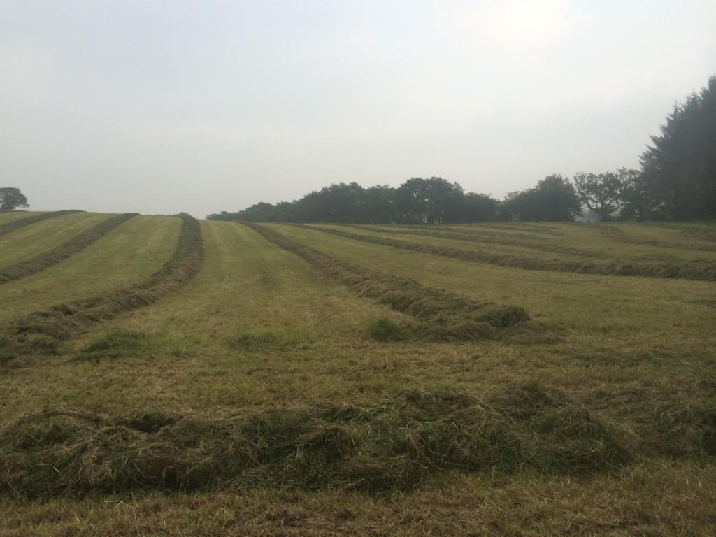 valtra162's tweet photo. Last of the grass #silage2015 http://t.co/go7xPrmrKd