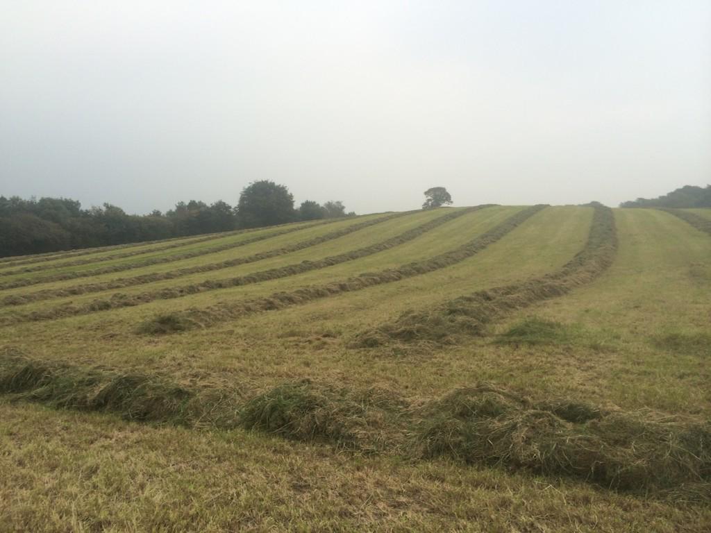 valtra162's tweet photo. Last of the grass #silage2015 http://t.co/go7xPrmrKd