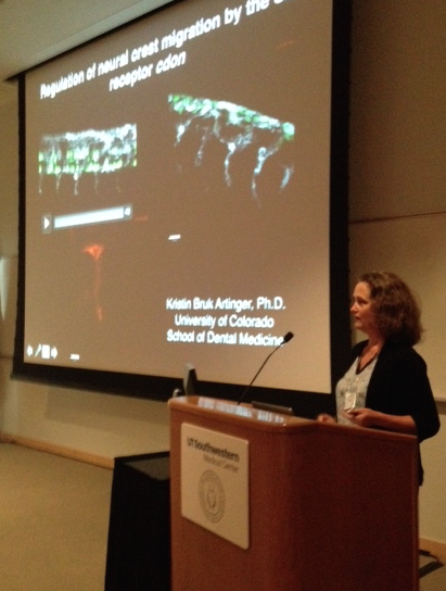 SDB_SW_Meet2015's tweet photo. Dr.Kristin Artinger(Univ CO) Neural crest are multipotent. How are cell fate/migration boarders determined?#SWSDB2015 http://t.co/vFkyWP9obA