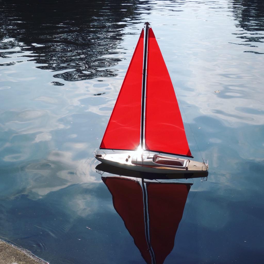 Sailing boats, flying kites, climbing trees AND a proper roast. #sunday