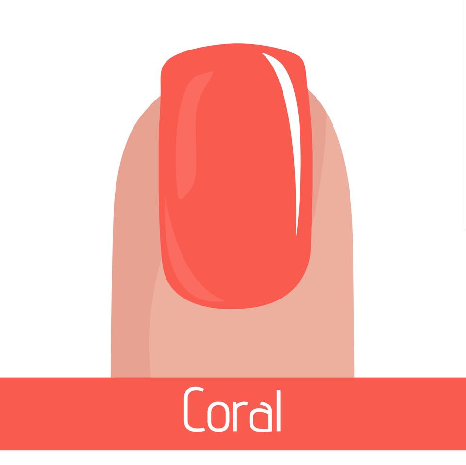 Flexiglaze's tweet photo. Coral Flexigloss in stock now #gelpolish #flexigloss http://t.co/B3OKk5EMWd