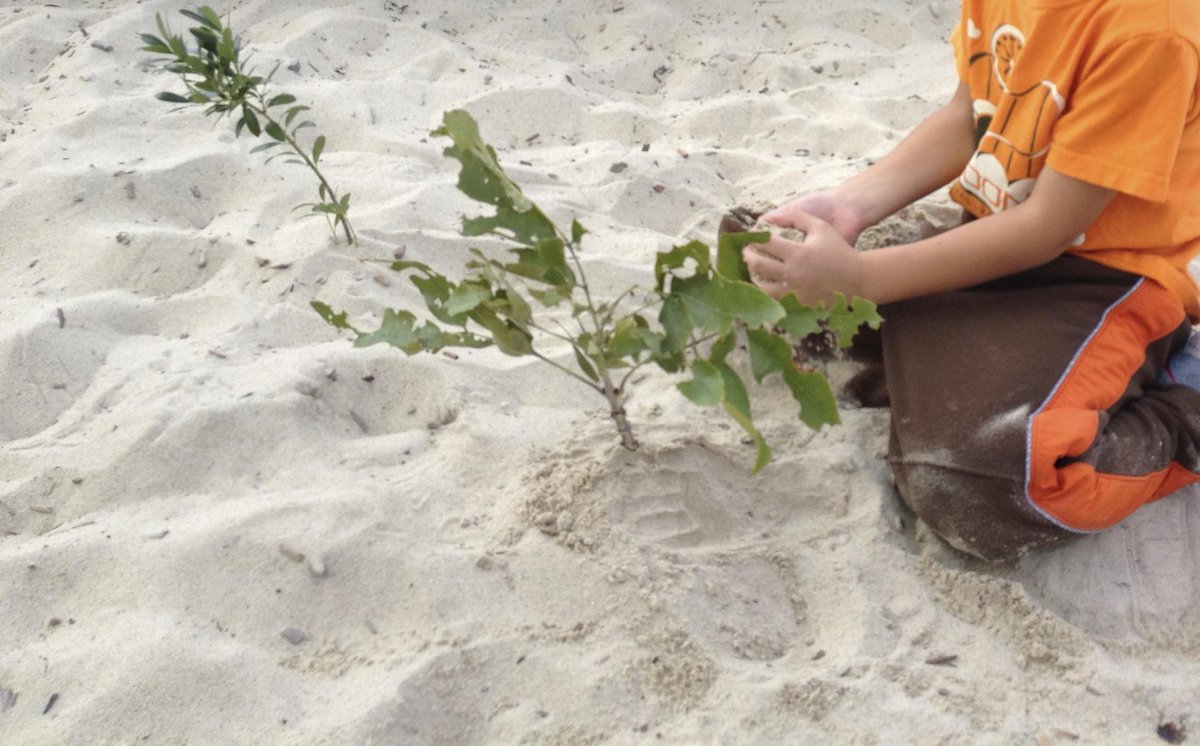 Taking stability outside: How can you make a stick stable?