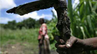 gaurisalokhe's tweet photo. Africa's agriculture needs young blood http://t.co/VlcAPtjLYN #youthinagriculture http://t.co/5lQVMsvlhI