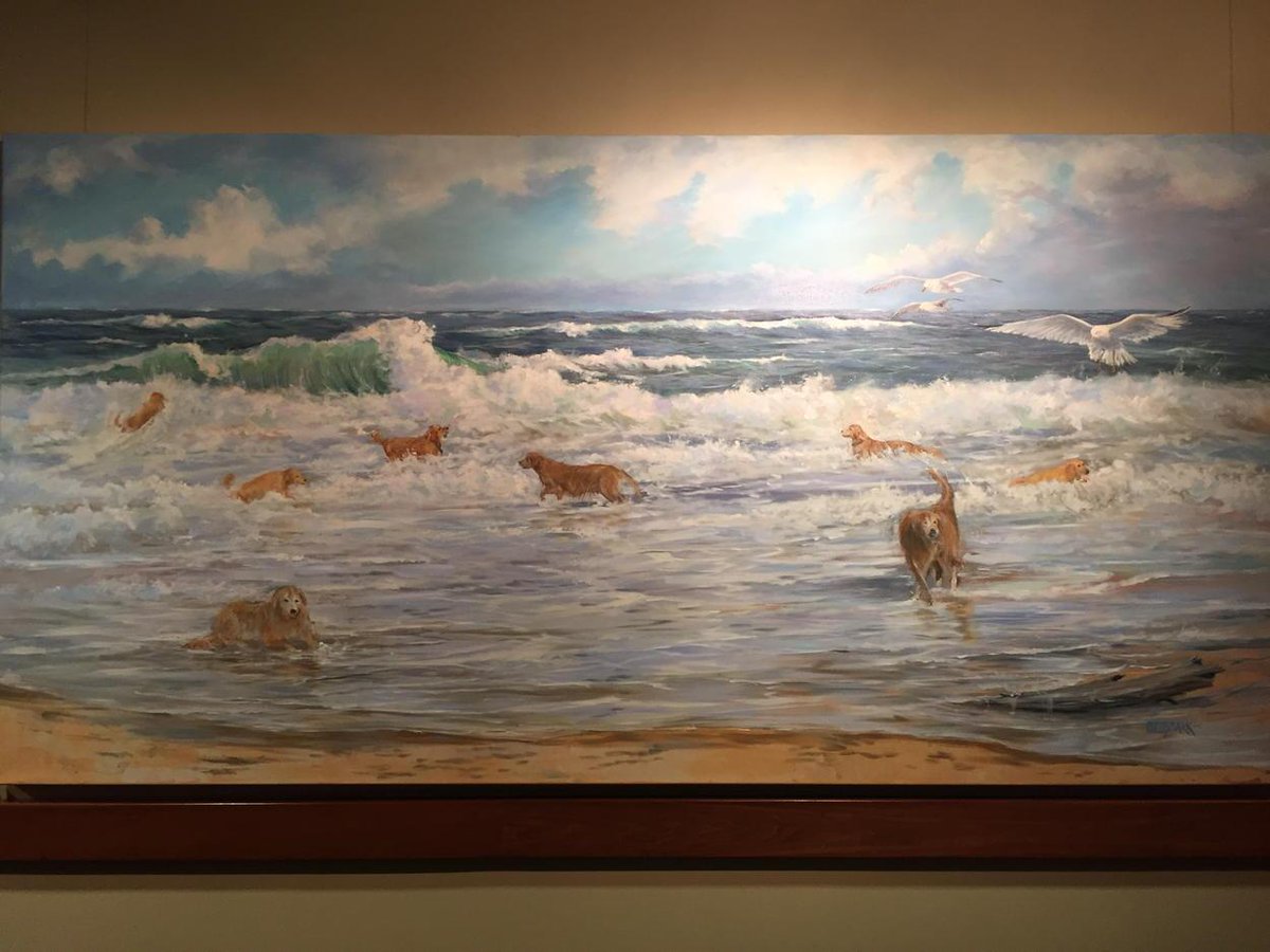 MSUCreatives's tweet photo. Retirement plan #goldenretrievers #beach #artprize http://t.co/pR16xhaT2C
